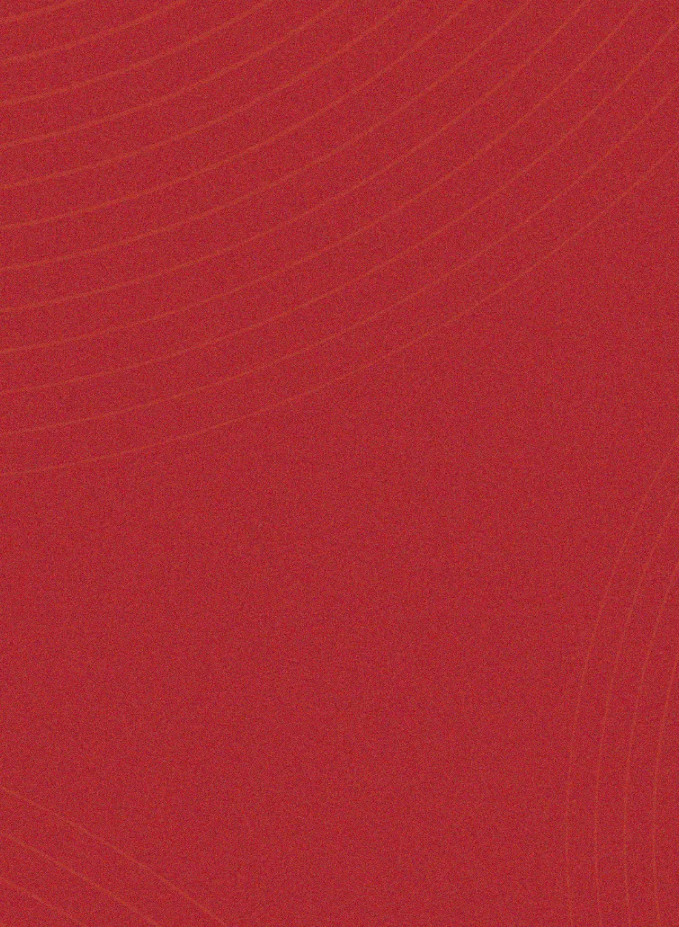 New Year Silent Auction