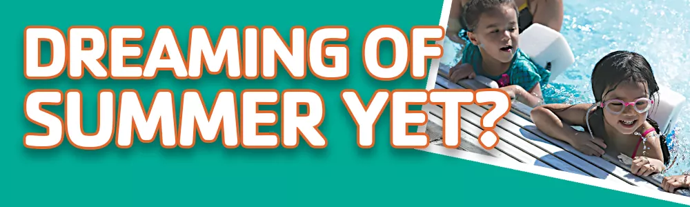 Dreaming of Summer rectangle