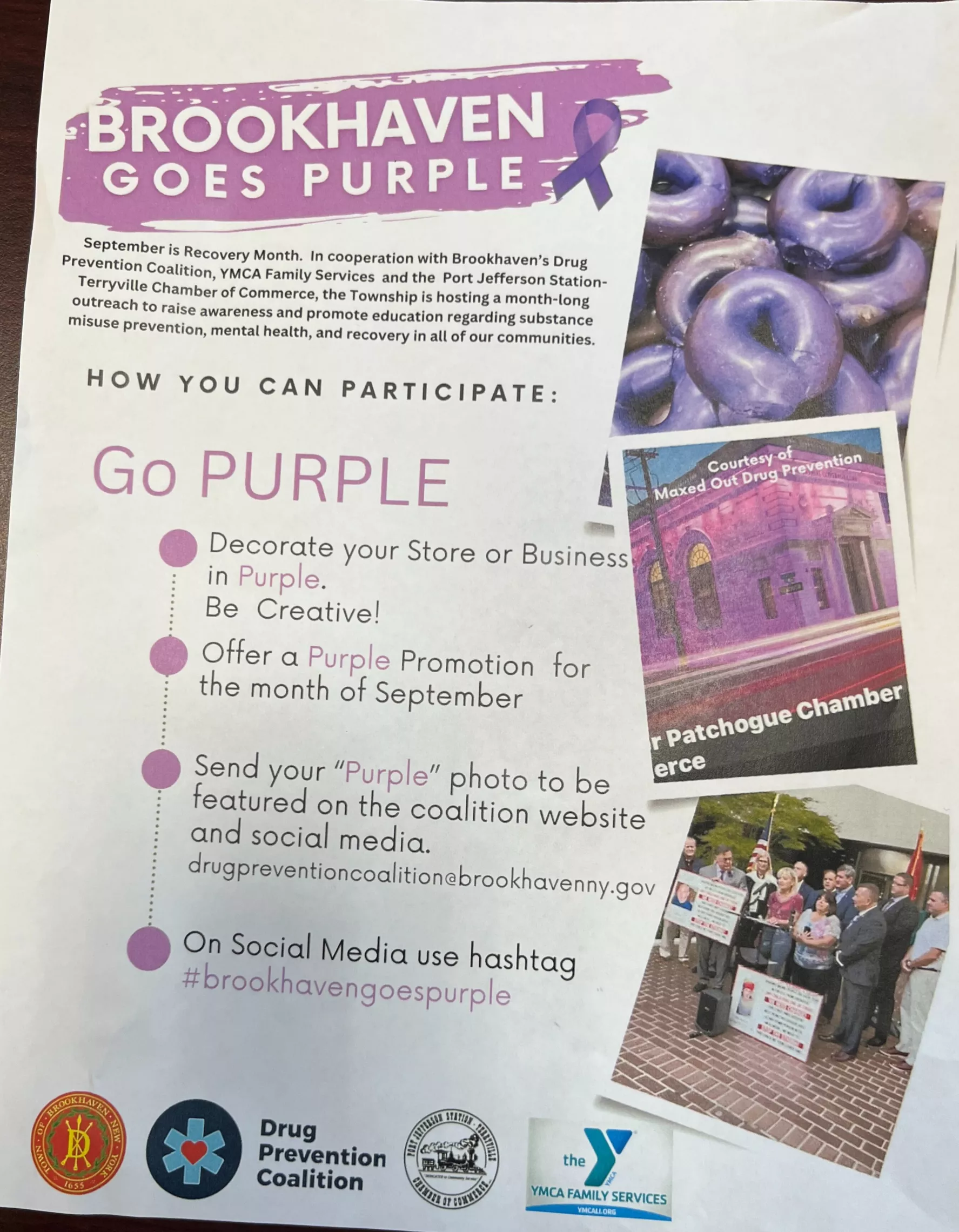 Brookhaven Goes Purple 2